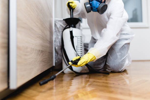 Best Flea Control Services  in Dauphin Island, AL