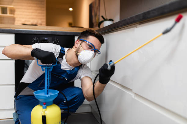 Best Best Pest Control Companies  in Dauphin Island, AL