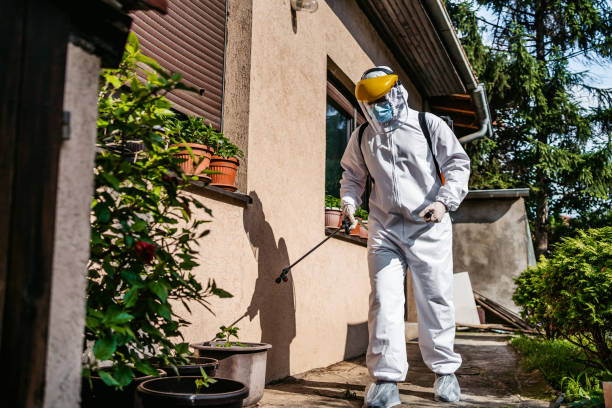 Best Affordable Pest Control Services  in Dauphin Island, AL