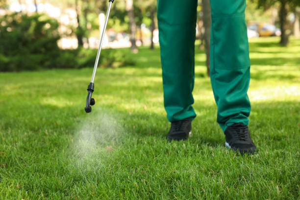Trusted Dauphin Island, AL Pest Control Experts