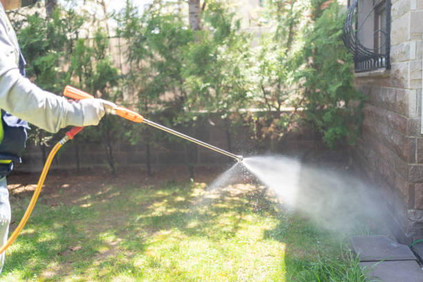 Best Affordable Pest Control Services  in Dauphin Island, AL